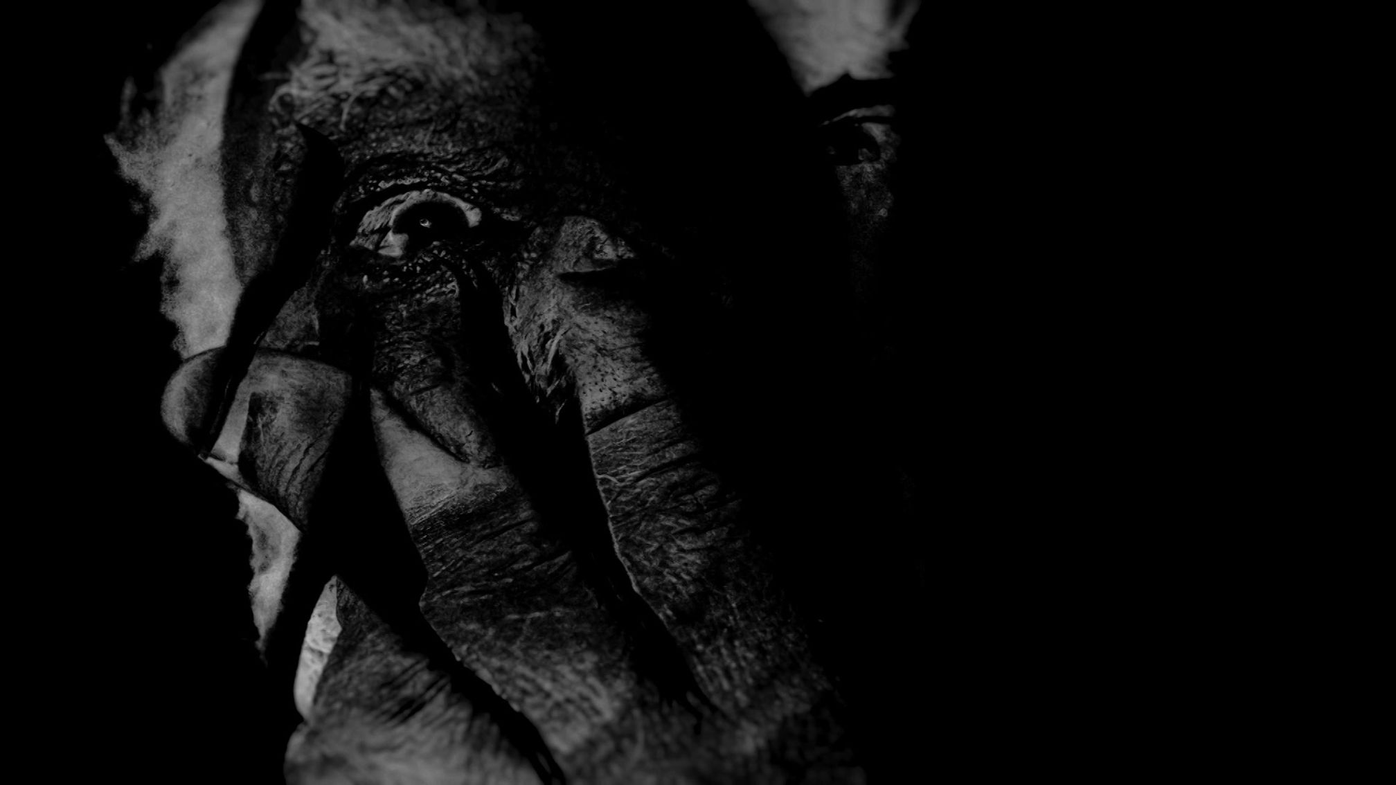 Chamber of Visions Teaser #1
